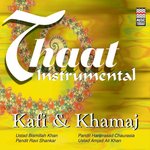 Thaat Instrumental (Kafi & Khamaj) - Ustad Bismillah Khan Song Download